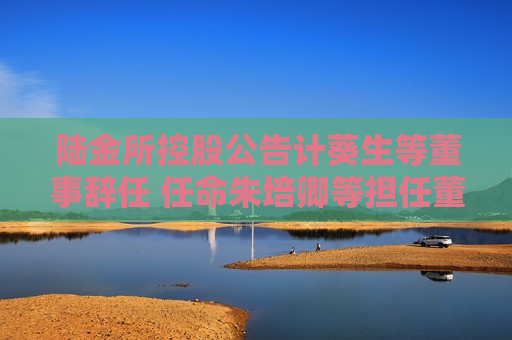 陆金所控股公告计葵生等董事辞任 任命朱培卿等担任董事  第1张