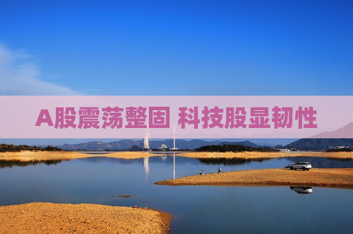 A股震荡整固 科技股显韧性
