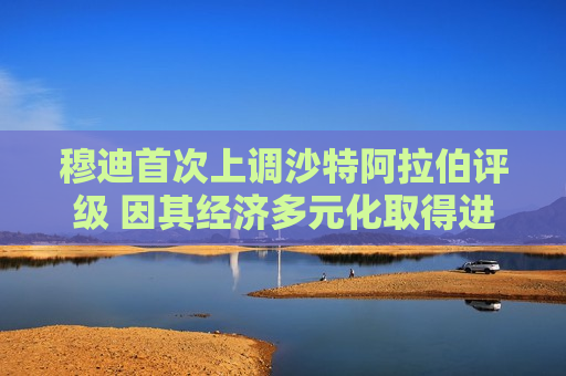 穆迪首次上调沙特 *** 评级 因其经济多元化取得进展  第1张