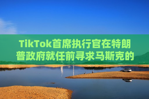 TikTok首席执行官在特朗普 *** 就任前寻求马斯克的意见
