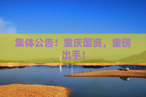 集体公告！重庆国资，重磅出手！  第1张