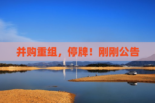 并购重组，停牌！刚刚公告  第1张