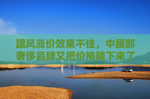 跟风涨价效果不佳，中腰部奢侈品牌又把价格降下来了  第1张