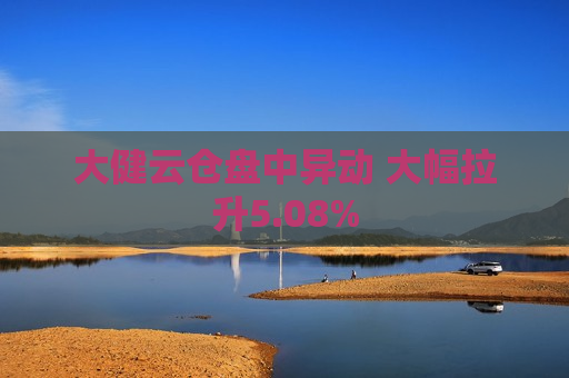 大健云仓盘中异动 大幅拉升5.08%