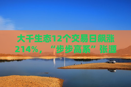 大千生态12个交易日飙涨214%，“步步高系”张源入主背后藏何资本谋划？  第1张