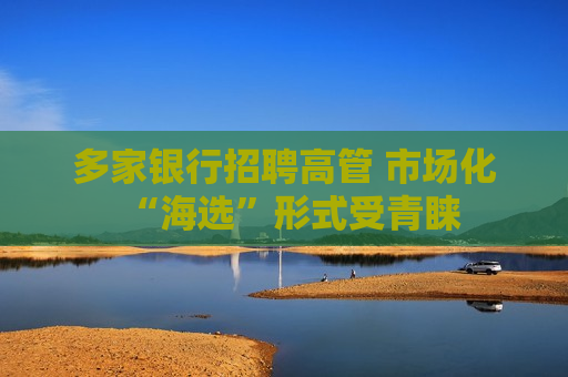多家银行 *** 高管 市场化“海选”形式受青睐  第1张