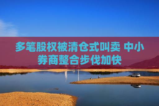 多笔股权被清仓式叫卖 中小券商整合步伐加快