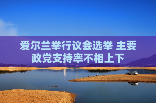 爱尔兰举行议会选举 主要政党支持率不相上下