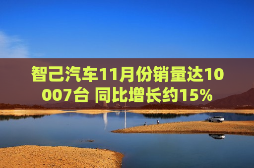 智己汽车11月份销量达10007台 同比增长约15%
