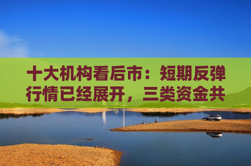 十大机构看后市：短期反弹行情已经展开，三类资金共振推动跨年行情  第1张