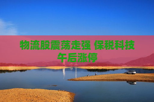 物流股震荡走强 保税科技午后涨停