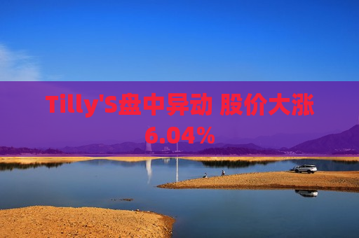 Tilly'S盘中异动 股价大涨6.04%  第1张