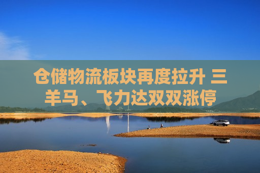 仓储物流板块再度拉升 三羊马、飞力达双双涨停