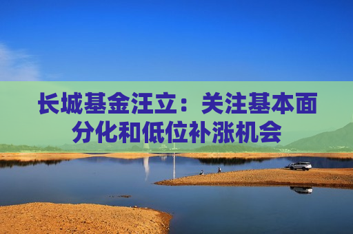 长城基金汪立：关注基本面分化和低位补涨机会  第1张