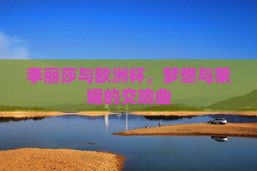 李丽莎与欧洲杯，梦想与荣耀的交响曲