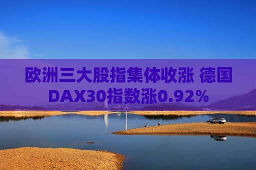 欧洲三大股指集体收涨 德国DAX30指数涨0.92%  第1张