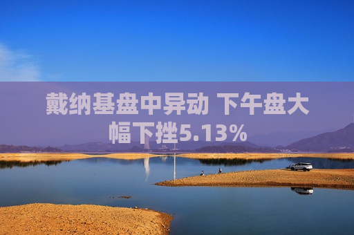 戴纳基盘中异动 下午盘大幅下挫5.13%  第1张