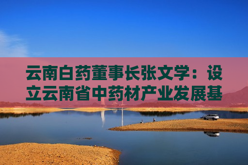 云南白药董事长张文学：设立云南省中药材产业发展基金，快速构建医药大健康产业集群