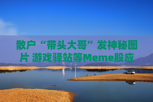 散户“带头大哥”发神秘图片 游戏驿站等Meme股应声上涨