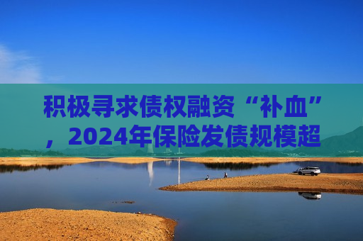 积极寻求债权融资“补血”，2024年保险发债规模超千亿元  第1张
