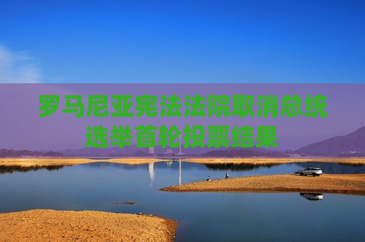 罗马尼亚 *** 取消总统选举首轮投票结果  第1张
