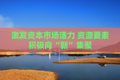 激发资本市场活力 资源要素积极向“新”集聚