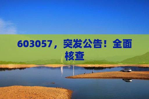 603057，突发公告！全面核查