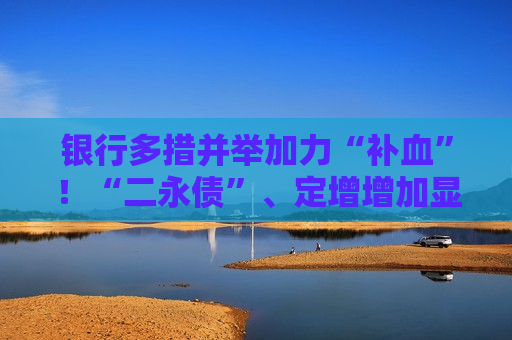 银行多措并举加力“补血”！“二永债”、定增增加显著