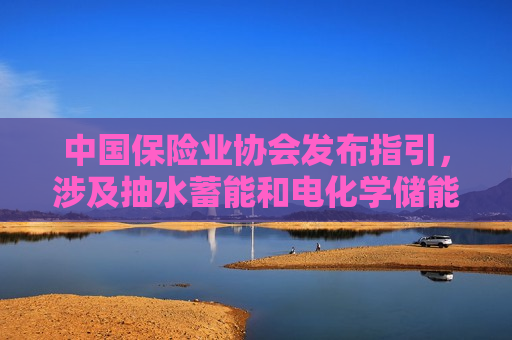 中国保险业协会发布指引，涉及抽水蓄能和电化学储能电站保险风险评估