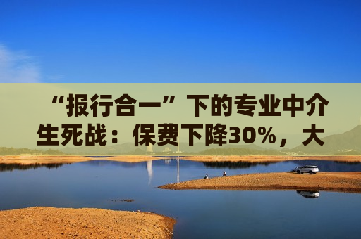 “报行合一”下的专业中介生死战：保费下降30%，大改基本法，一切只为将人留住