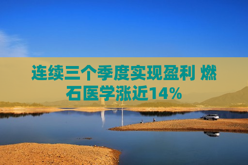 连续三个季度实现盈利 燃石医学涨近14%  第1张