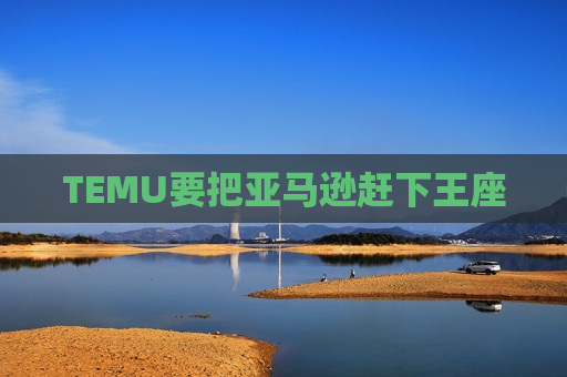 TEMU要把亚马逊赶下王座