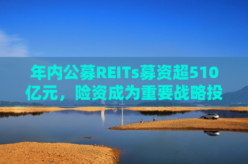 年内公募REITs募资超510亿元，险资成为重要战略投资人  第1张