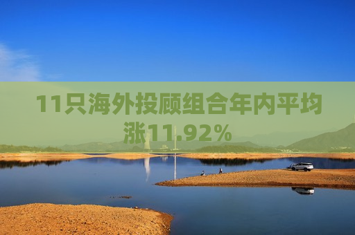 11只海外投顾组合年内平均涨11.92%  第1张
