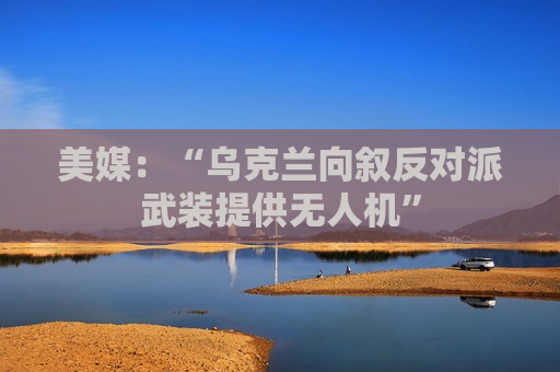 美媒：“乌克兰向叙反对派武装提供无人机”