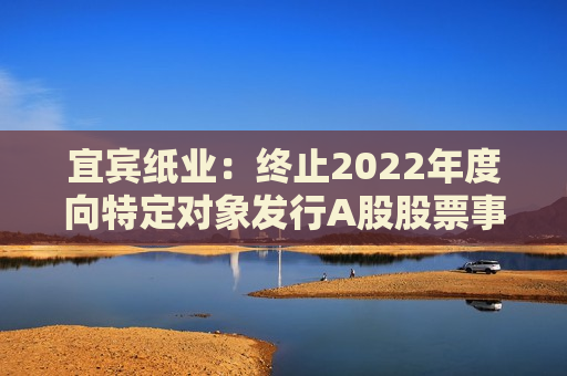 宜宾纸业：终止2022年度向特定对象发行A股股票事项  第1张