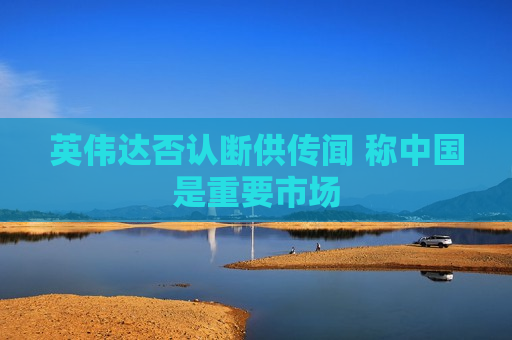 英伟达否认断供传闻 称中国是重要市场  第1张