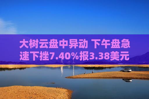 大树云盘中异动 下午盘急速下挫7.40%报3.38美元  第1张