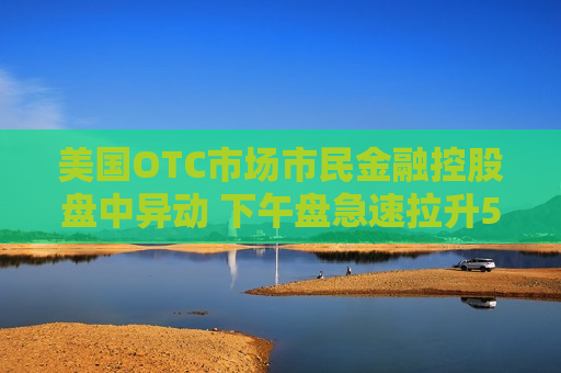 美国OTC市场市民金融控股盘中异动 下午盘急速拉升5.00%报9.45美元