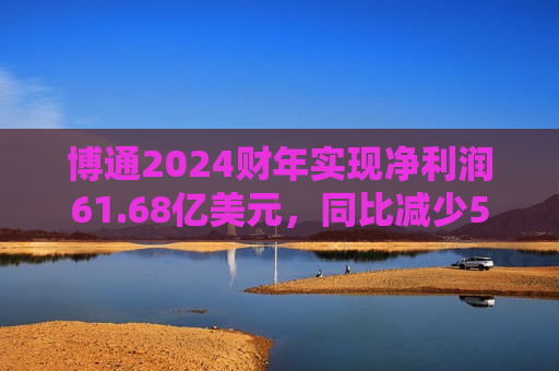 博通2024财年实现净利润61.68亿美元，同比减少56.20%