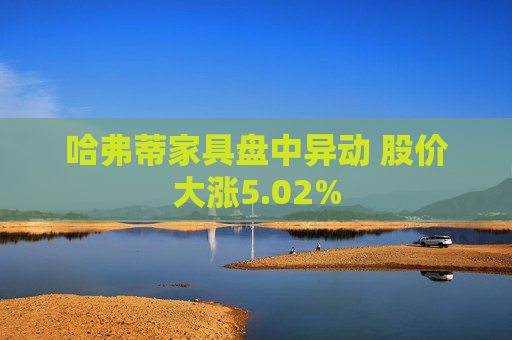 哈弗蒂家具盘中异动 股价大涨5.02%  第1张