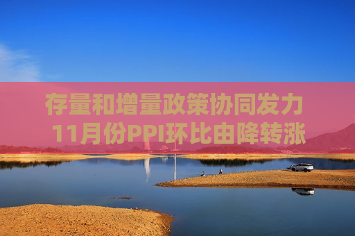 存量和增量政策协同发力 11月份PPI环比由降转涨