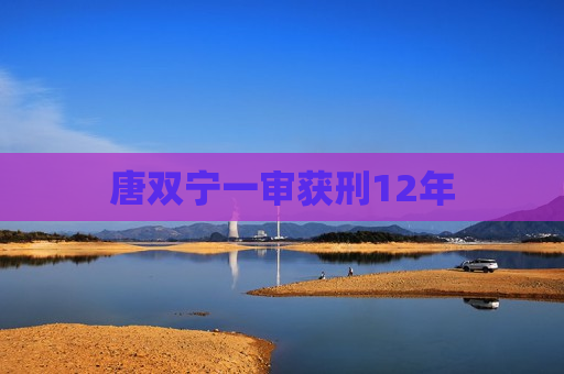 唐双宁一审获刑12年  第1张