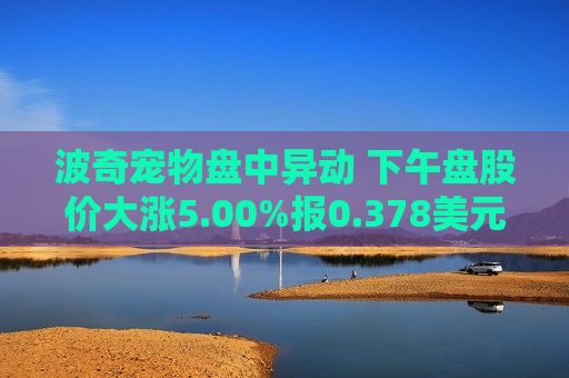 波奇宠物盘中异动 下午盘股价大涨5.00%报0.378美元