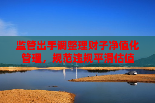 监管出手调整理财子净值化管理，规范违规平滑估值  第1张