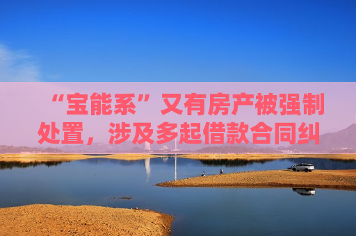 “宝能系”又有房产被强制处置，涉及多起借款合同纠纷  第1张