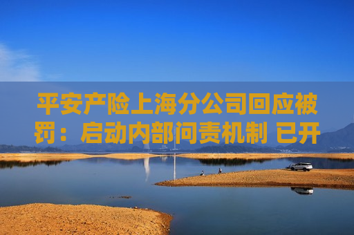 平安产险上海分公司回应被罚：启动内部问责机制 已开展整改工作
