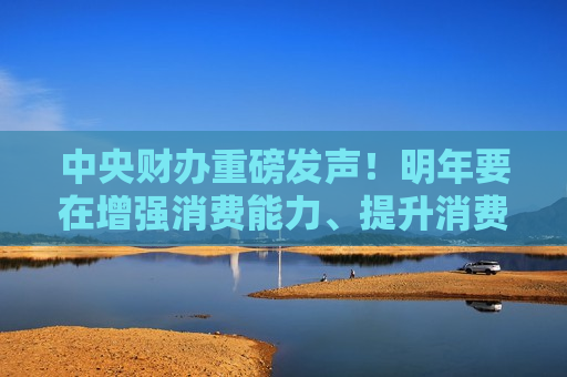 中央财办重磅发声！明年要在增强消费能力、提升消费意愿上下功夫  第1张