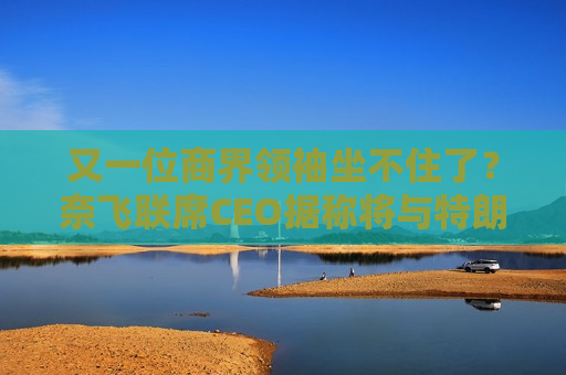 又一位商界领袖坐不住了？奈飞联席CEO据称将与特朗普会面