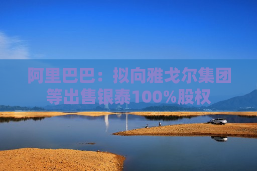 阿里巴巴：拟向雅戈尔集团等出售银泰100%股权  第1张